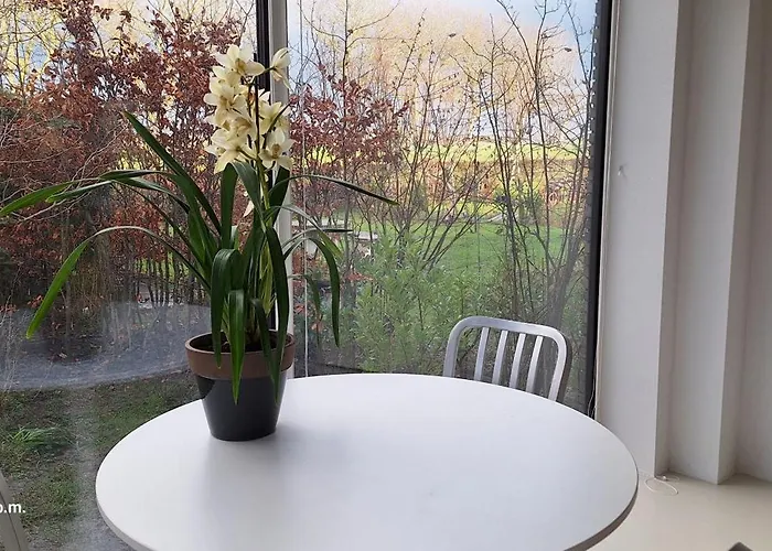 Bij De Dijk Warmenhuizen